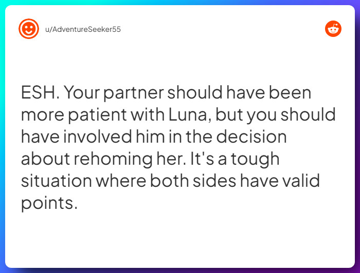 Comment from u/AdventureSeeker55