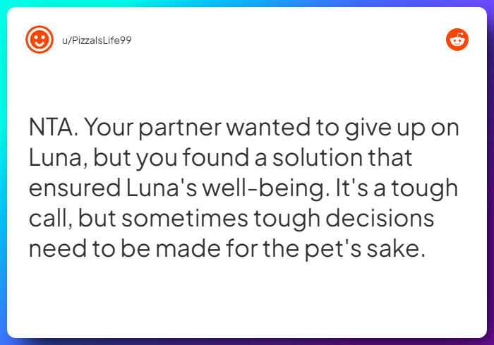 Comment from u/PizzaIsLife99