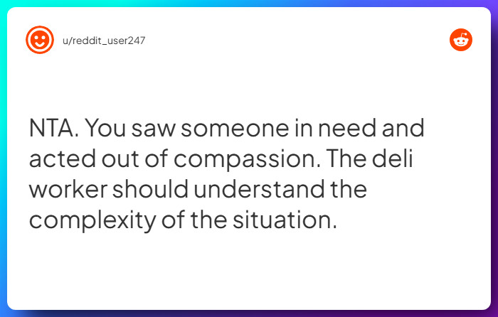Comment from u/reddit_user247