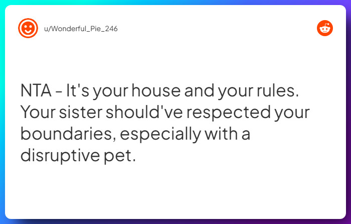 Comment from u/Wonderful_Pie_246