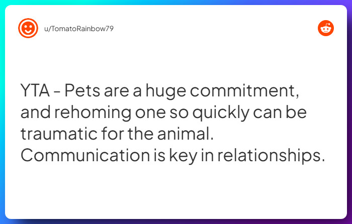 Comment from u/TomatoRainbow79