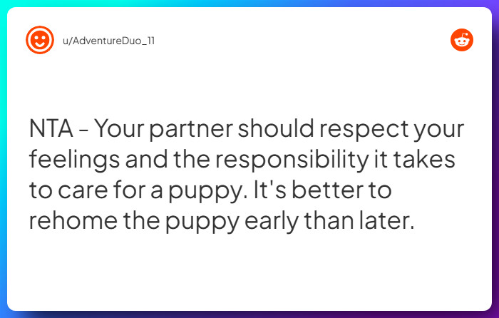 Comment from u/AdventureDuo_11