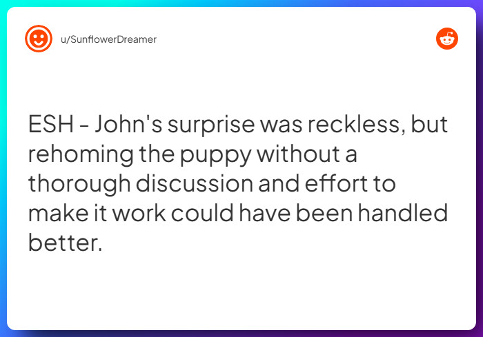 Comment from u/SunflowerDreamer