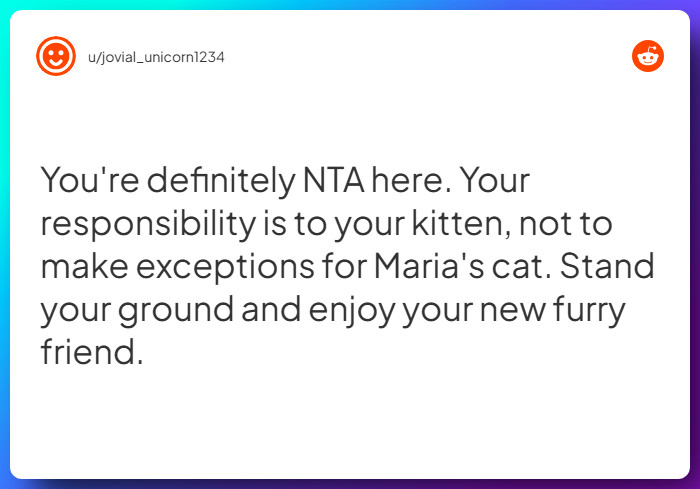 Comment from u/jovial_unicorn1234
