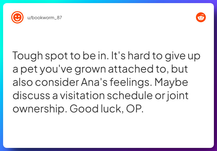 Comment from u/bookworm_87