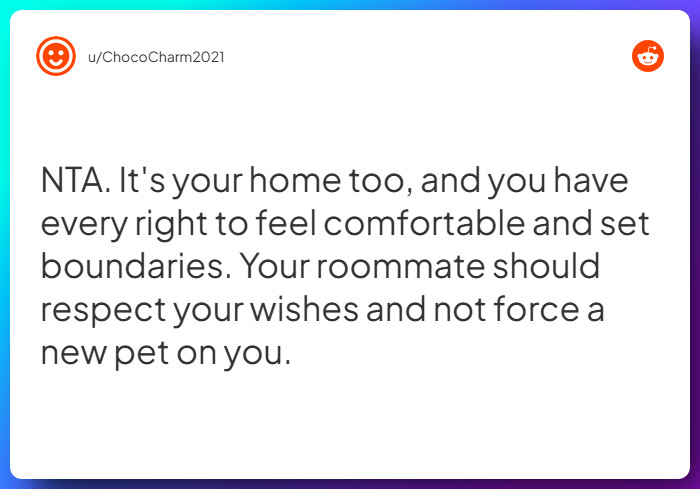 Comment from u/ChocoCharm2021