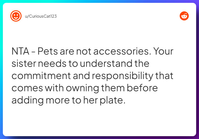 Comment from u/CuriousCat123