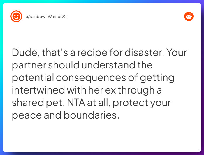 Comment from u/rainbow_Warrior22