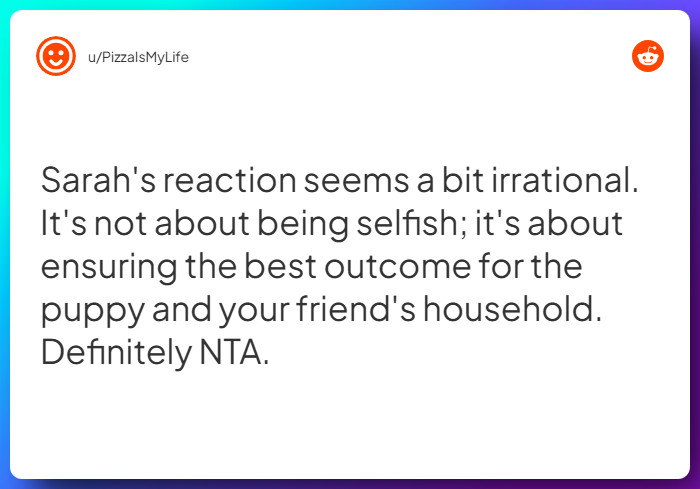 Comment from u/PizzaIsMyLife