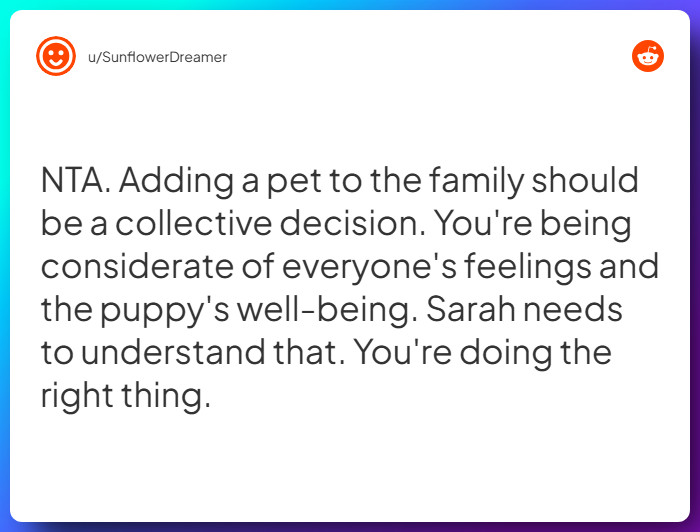 Comment from u/SunflowerDreamer