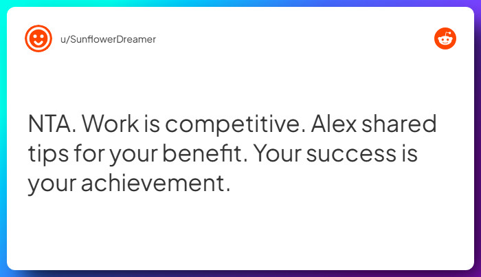 Comment from u/SunflowerDreamer