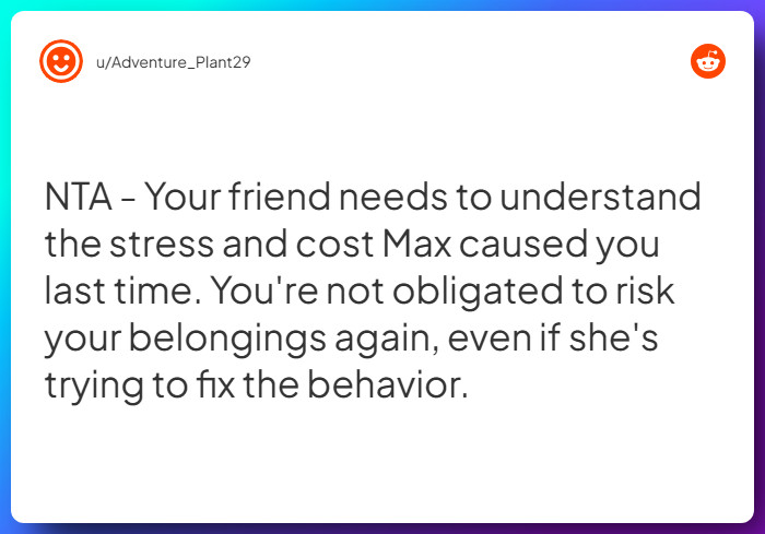 Comment from u/Adventure_Plant29