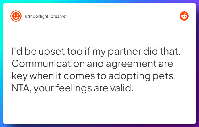 Comment from u/moonlight_dreamer