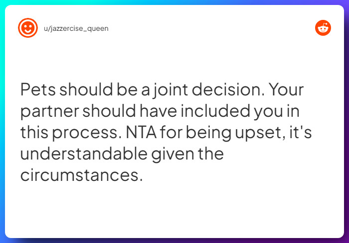 Comment from u/jazzercise_queen