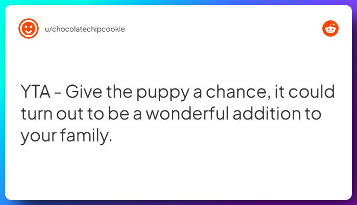 Comment from u/chocolatechipcookie