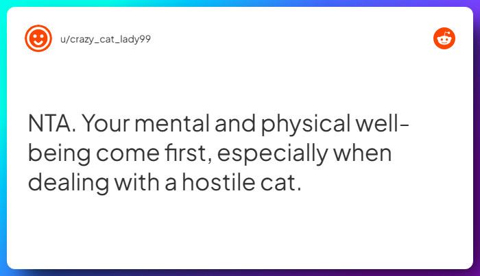 Comment from u/crazy_cat_lady99