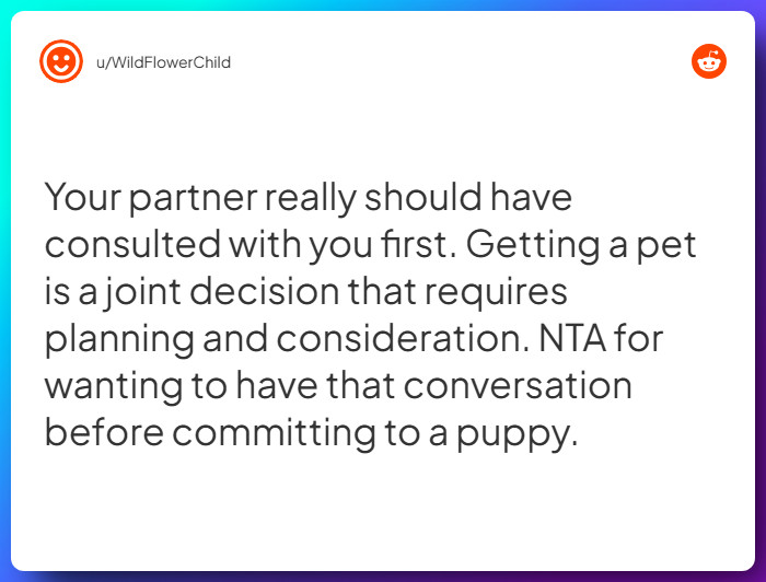 Comment from u/WildFlowerChild