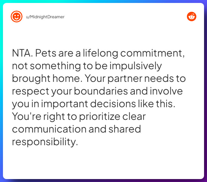 Comment from u/MidnightDreamer