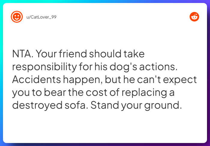 Comment from u/CatLover_99