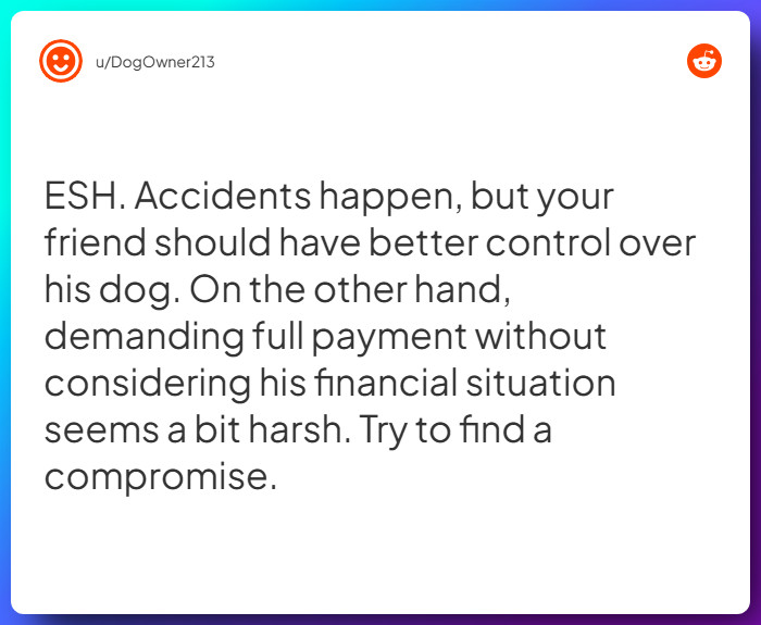 Comment from u/DogOwner213