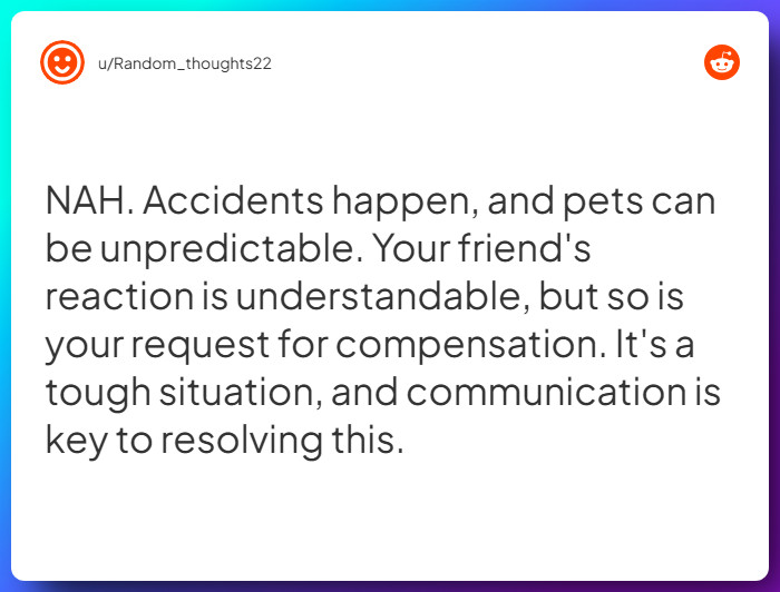Comment from u/Random_thoughts22