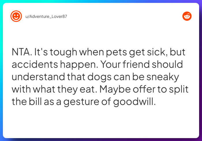 Comment from u/Adventure_Lover87