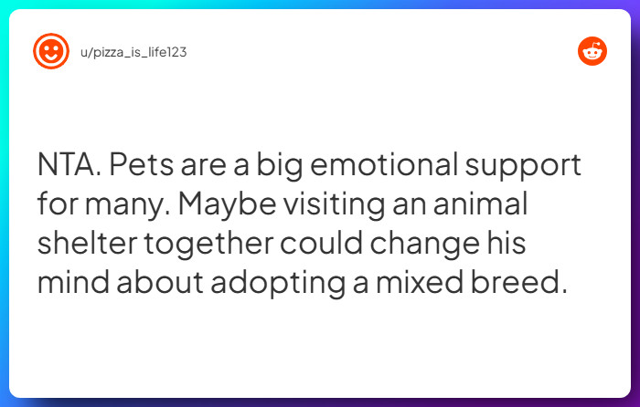 Comment from u/pizza_is_life123