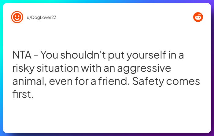 Comment from u/DogLover23