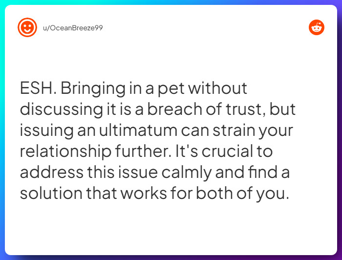 Comment from u/OceanBreeze99