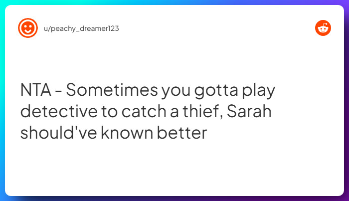 Comment from u/peachy_dreamer123