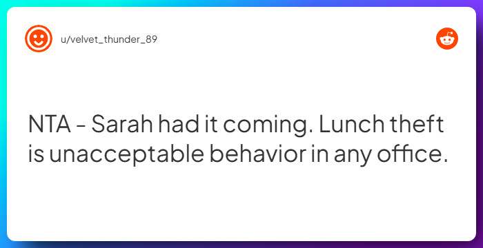 Comment from u/velvet_thunder_89