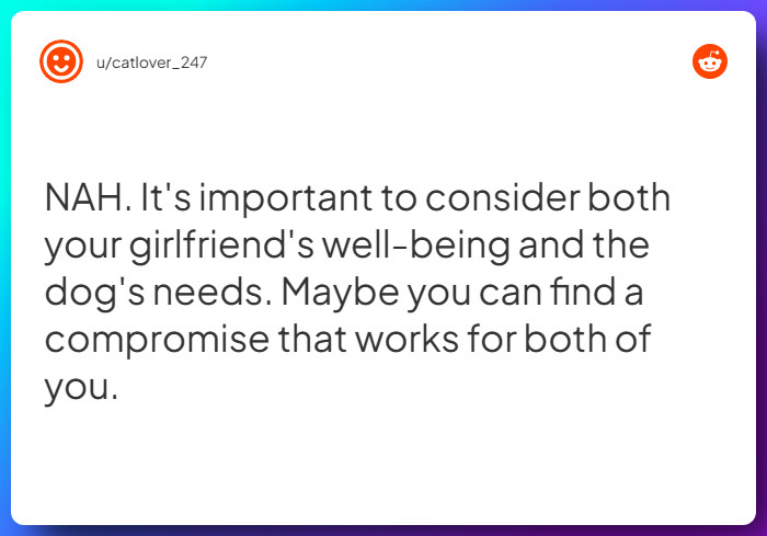 Comment from u/catlover_247