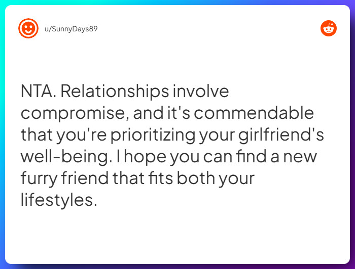 Comment from u/SunnyDays89