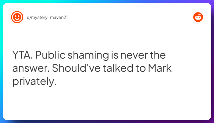 Comment from u/mystery_maven21