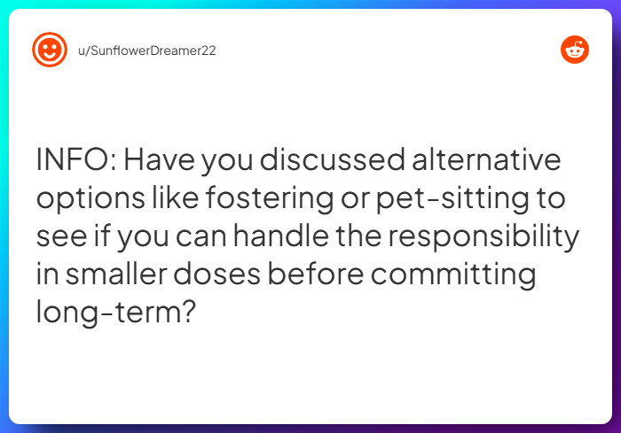Comment from u/SunflowerDreamer22