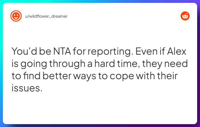 Comment from u/wildflower_dreamer