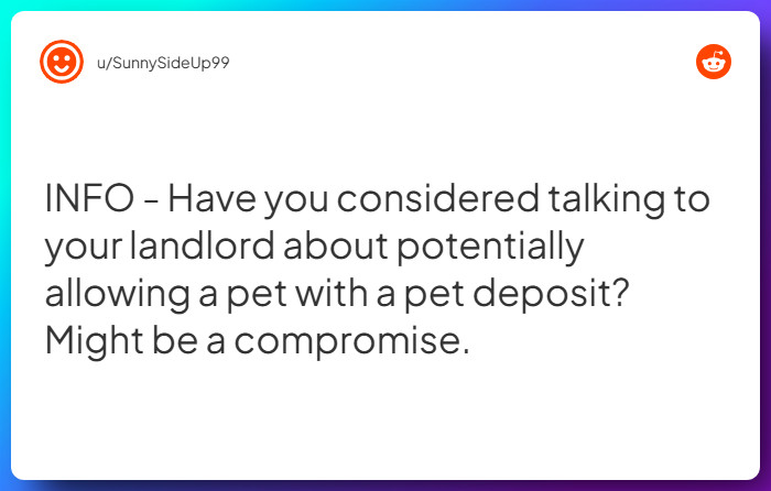 Comment from u/SunnySideUp99