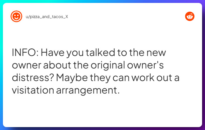 Comment from u/pizza_and_tacos_X