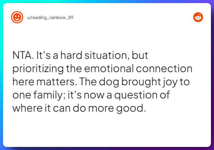 Comment from u/reading_rainbow_89