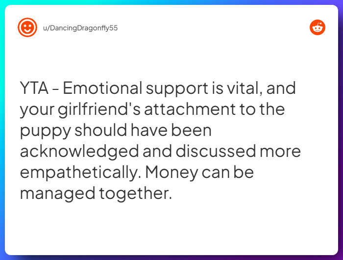 Comment from u/DancingDragonfly55