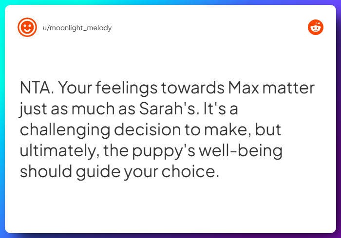 Comment from u/moonlight_melody