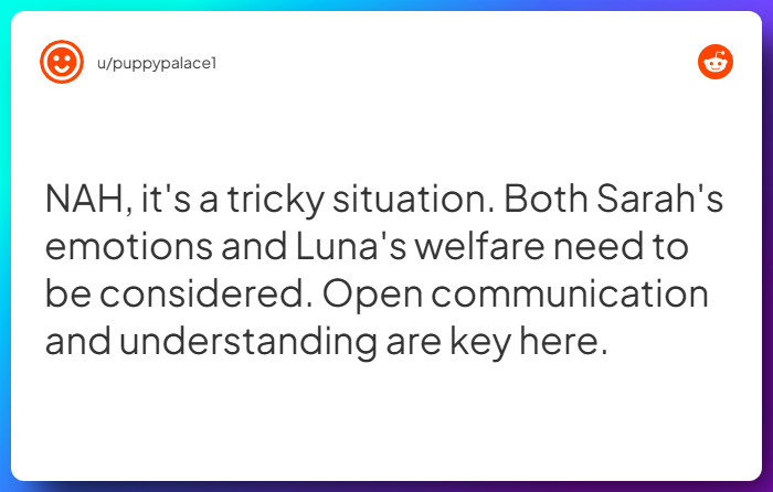 Comment from u/puppypalace1