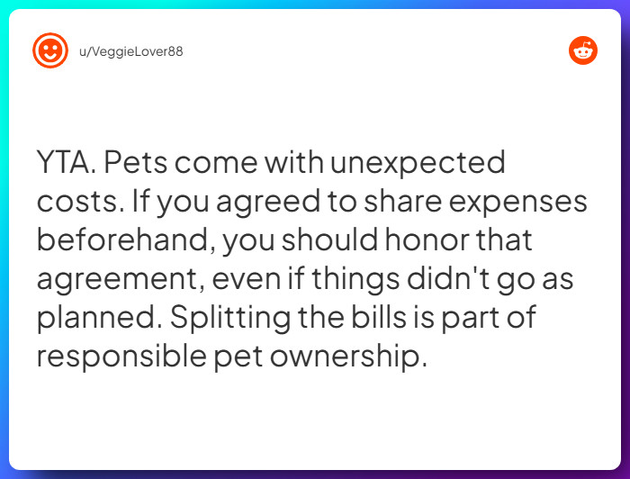 Comment from u/VeggieLover88