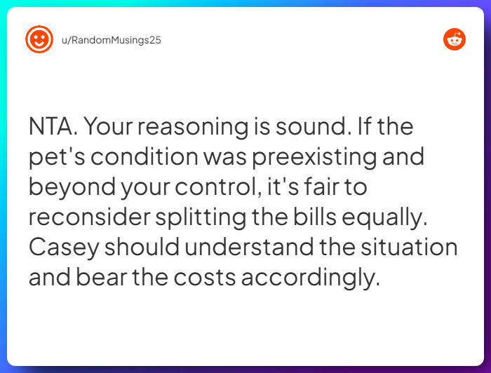 Comment from u/RandomMusings25