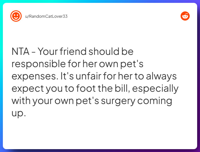 Comment from u/RandomCatLover33