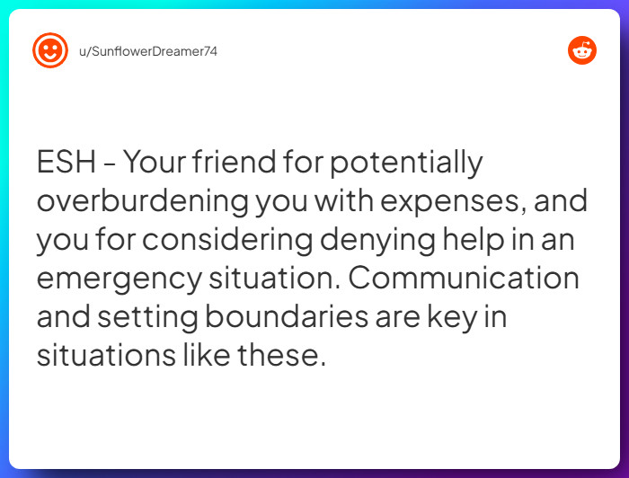 Comment from u/SunflowerDreamer74