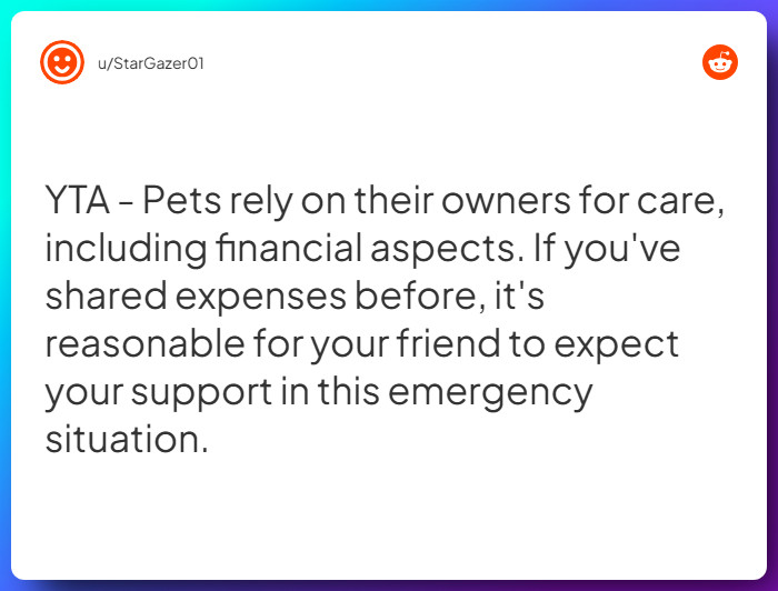 Comment from u/StarGazer01