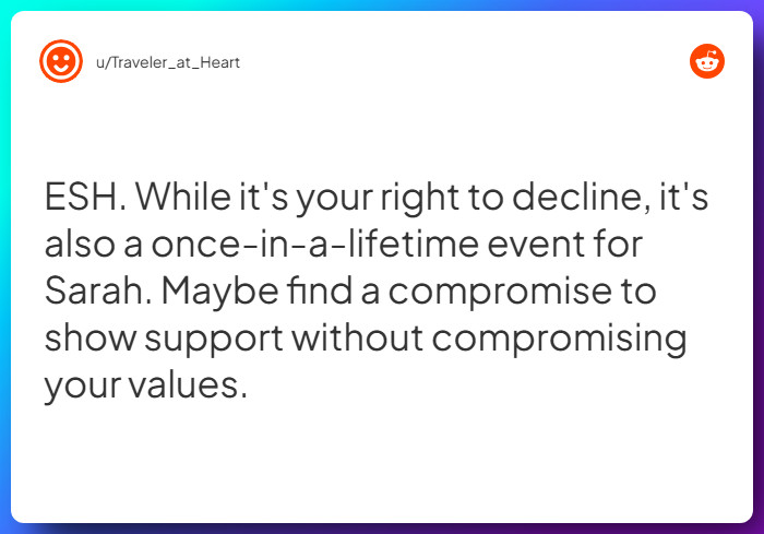 Comment from u/Traveler_at_Heart