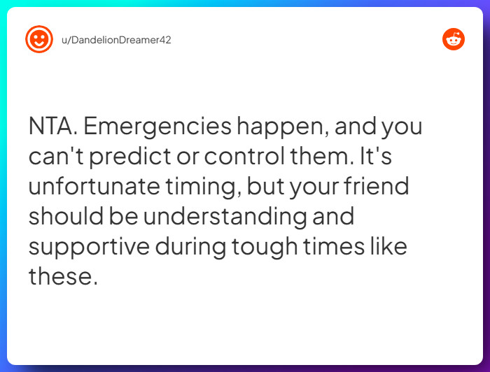 Comment from u/DandelionDreamer42