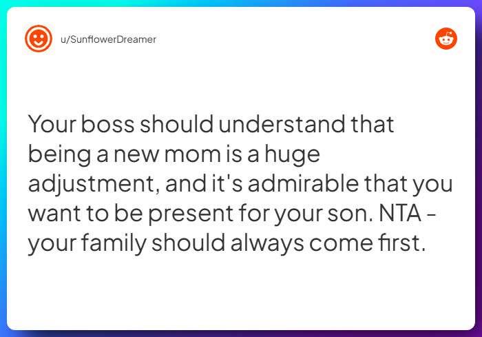 Comment from u/SunflowerDreamer